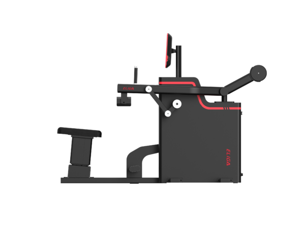 Seated Calf T171