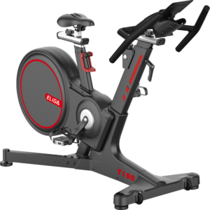 Indoor Bike T100