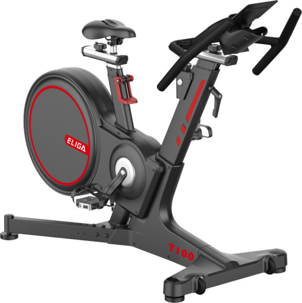Indoor Bike T100