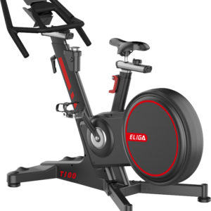 Indoor Bike T100