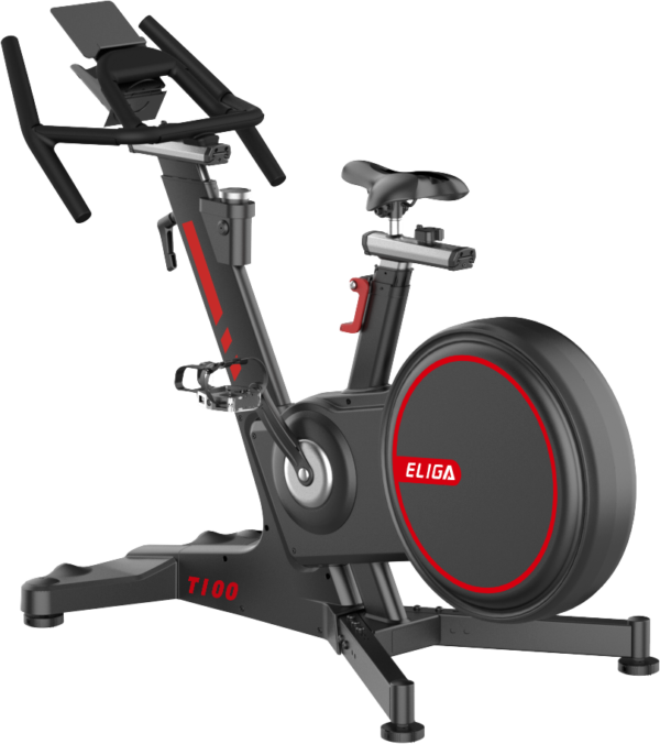 Indoor Bike T100